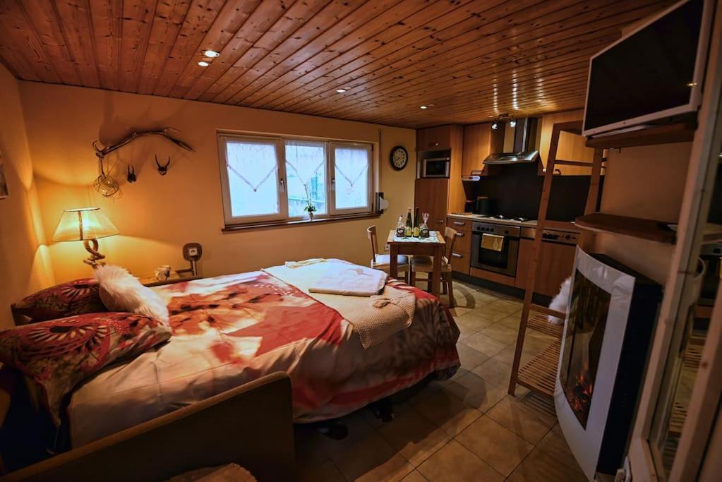 شقة Les Chouchous Du Ried 3 / Proche Europapark Saasenheim المظهر الخارجي الصورة